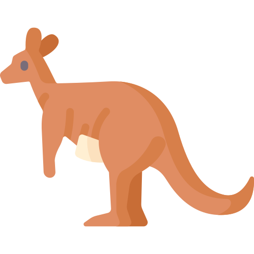 kangaroo