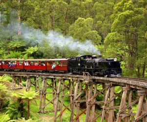 710202405045Dandenong-Ranges-Tour3